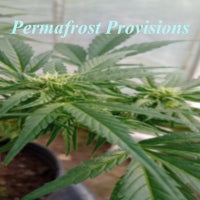 Permafrost Provisions